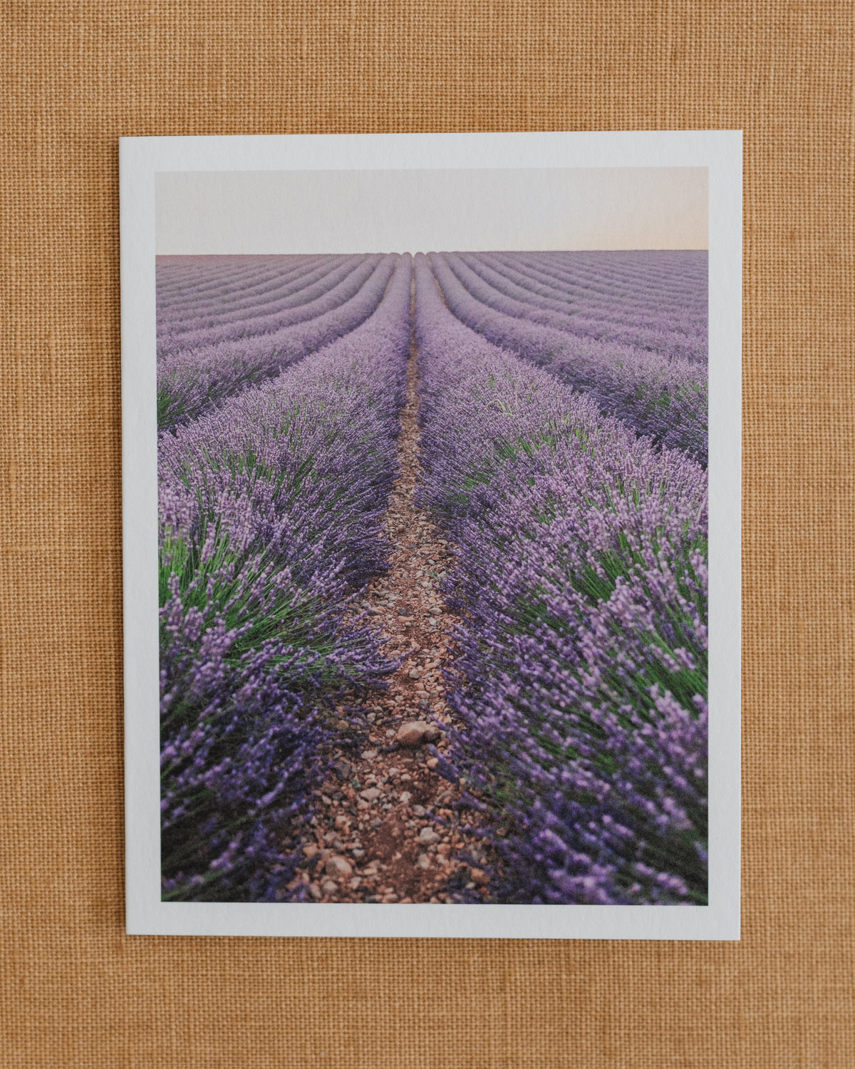 Photographic notecard showing rows of purple lavender stretching toward the horizon.
