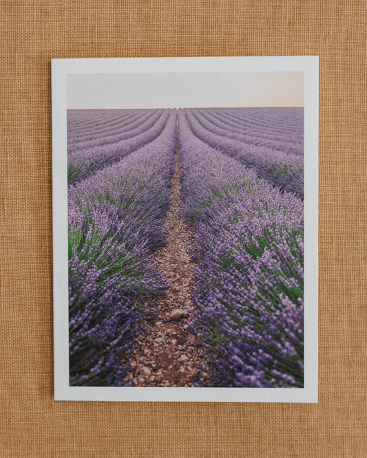 Photographic notecard showing rows of purple lavender stretching toward the horizon.